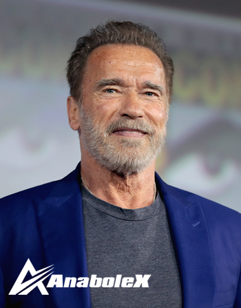 Arnold Schwarzenegger profile .jpg