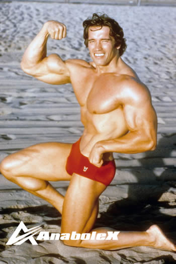 Arnold Schwarzenegger young.jpg