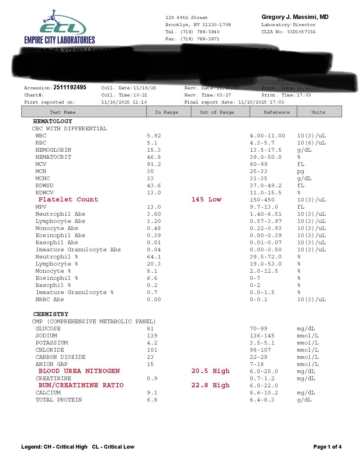 Matt Wilkins Bloodwork 3 (1)_Page_1.jpg