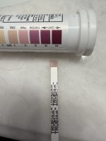IMG_0128.jpeg