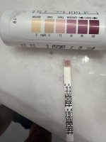 IMG_0144.jpeg