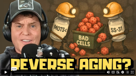 AMA.png
