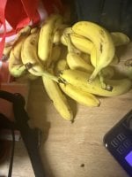 IMG_7620.jpeg