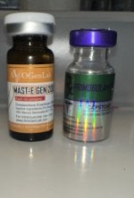 IMG_0488.jpeg