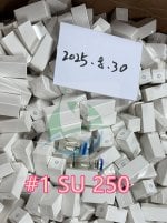 SU250_副本.jpg