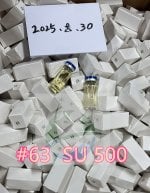 Su500_副本.jpg