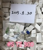 TE 300_副本.jpg