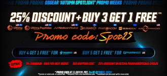 AUTUMN SPOTLIGHT 2025.jpg