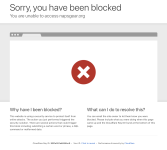 Screenshot 2025-11-17 at 9.23.25 AM.png