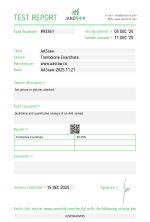 Tren E 2025.11.15 .png