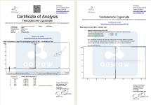 test cyp 2025.11.png