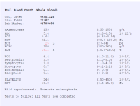 Full Blood Count Panel.png