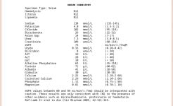 Screenshot_20260408_162639_Adobe Acrobat.jpg