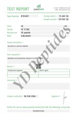 Test Report-C300.jpg