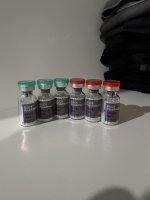 IMG_5934.jpeg