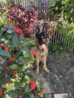 IMG_2362.jpeg
