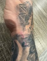 IMG_6313.jpeg