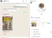 To Brazil by DHL.jpg