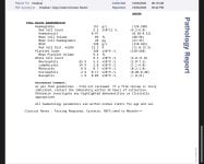 IMG_9302.jpeg