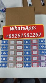 WhatsApp Image 2026-06-11 at 9.08.56 AM.jpeg