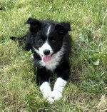 IMG_6645.jpeg