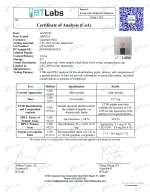 CP10-LKZ20260610.png