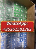 WhatsApp Image 2026-06-09 at 9.32.41 AM.jpeg