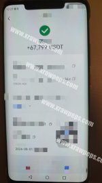 Xraw-Peps 67799 usdt payment bill.jpg