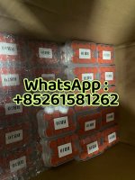 WhatsApp Image 2026-08-10 at 9.51.28 AM (1) - 副本.jpeg
