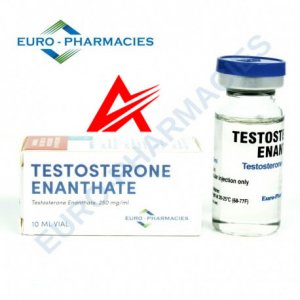 testosterone-enanthate-250mgml-10mlvial-ep.jpg