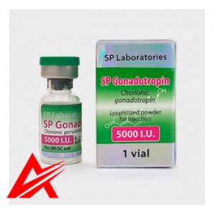 SP Laboratories HCG 5000iu (Human Chorionic Gonadotropin)