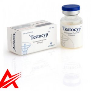 Buy original Alpha Pharma Testocyp (Testosterone Cypionate) 10ml 250mg/ml