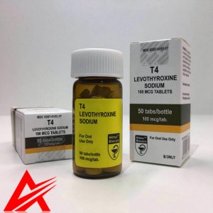 Hilma Biocare Levothyroxine T4 100 mcg