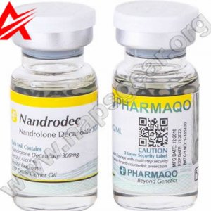 Nandrodec