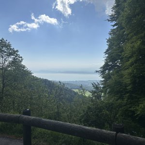 IMG_5672.jpeg
