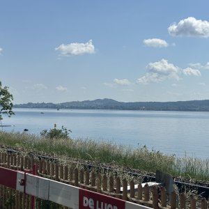 IMG_5677.jpeg