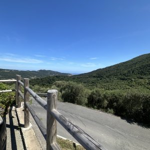 IMG_5883.jpeg