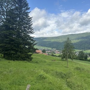IMG_6060.jpeg