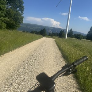 IMG_6204.jpeg