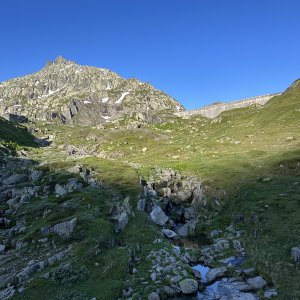 IMG_6295.jpeg