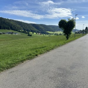 IMG_6497.jpeg