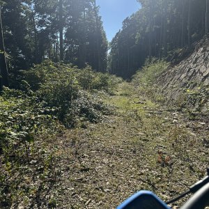 IMG_6707.jpeg