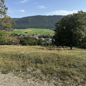 IMG_6808.jpeg