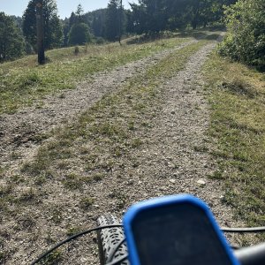 IMG_6809.jpeg