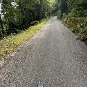 IMG_6938.jpeg