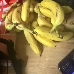 IMG_7620.jpeg