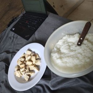 WhatsApp Image 2025-11-14 at 11.57.55_19e95d73.jpg