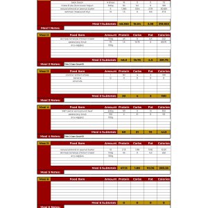 Rest Day Meal Plan.jpg