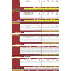 Training Day Meal Plan.jpg