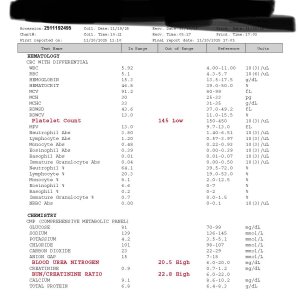 Matt Wilkins Bloodwork 3 (1)_Page_1.jpg